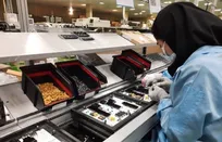 برگزاری جشنواره «رویش» با محور اشتغال و طرح‌های دانش‌بنیان/ ۱۰ طرح برتر تسهیلات دریافت می‌کنند