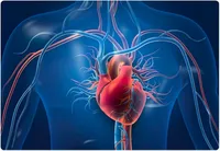 قلب هر انسان در طول زندگی به‌طور متوسط ۲.۵ میلیارد بار می‌تپد!