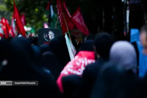 پیاده روی جاماندگان اربعین در ساری