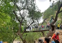 جذب گردشگر و درآمد با سرمایه‌گذاری در «اکوتوریسم»/ آینده تور‌های گردشگری چگونه است؟