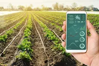 صرفه‌جویی ۵۰ درصدی مصرف آب با سامانه‌های آبیاری هوشمند/ نبود اینترنت، مانع گسترش فناوری در مزارع