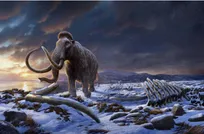 علت انقراض آخرین نسل ماموت‌ها کشف شد