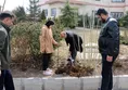 روز درختکاری در واحد اردبیل