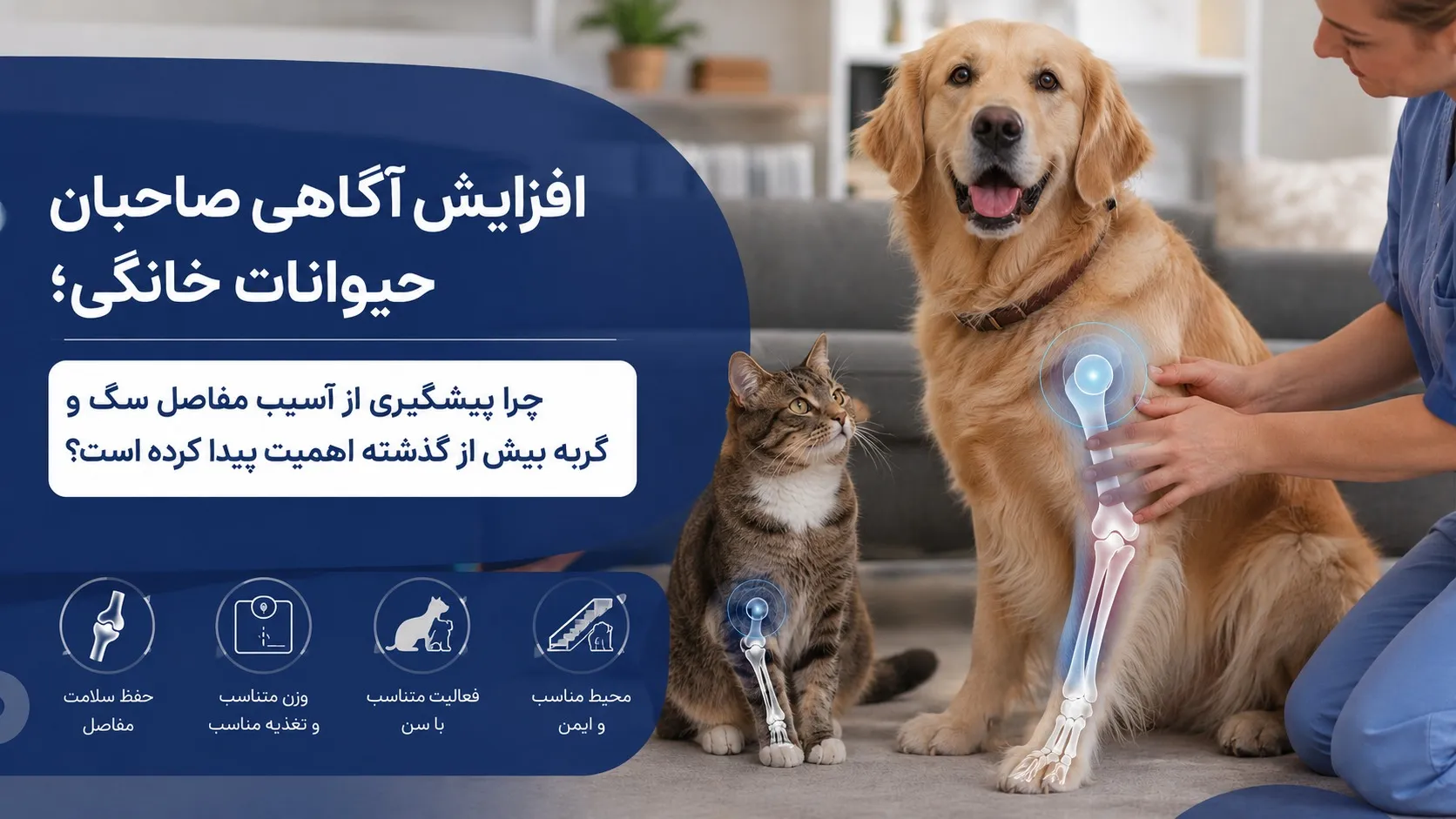 حیوانات