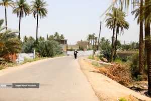 پیاده روی زائرین اربعین حسینی از طریق العلما