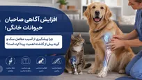 افزایش آگاهی صاحبان حیوانات خانگی؛ چرا پیشگیری از آسیب مفاصل سگ و گربه بیش از گذشته اهمیت پیدا کرده است؟