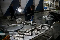 بازار ماهی‌فروشان