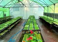 انقلاب سبز در تغذیه سالم و کشاورزی پایدار