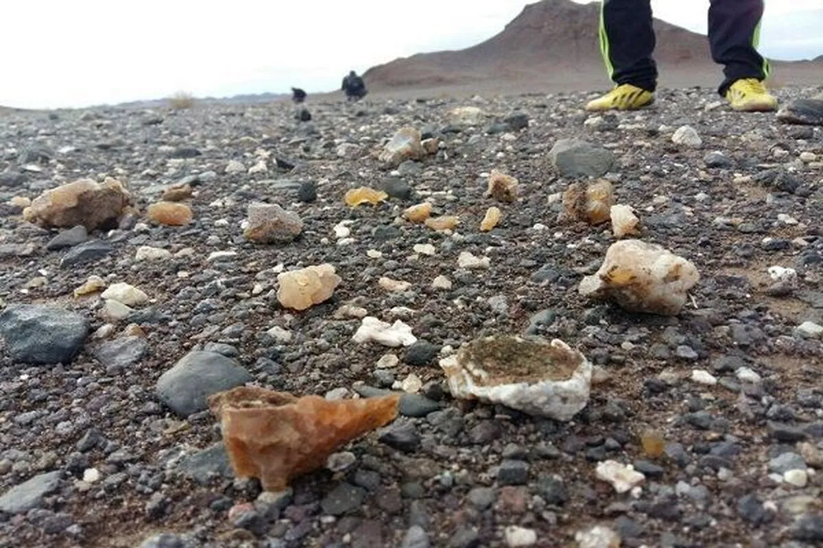 رازهای نهفته در دل خاک؛ گوهرهایی که رو به زوال می‌روند!