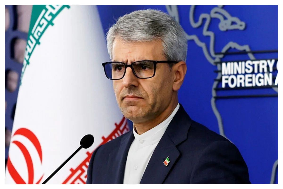 عکس متعلق به سخنگوی وزارت خارجه است.