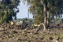 رژیم صهیونی دو جوان سوری را ربودند