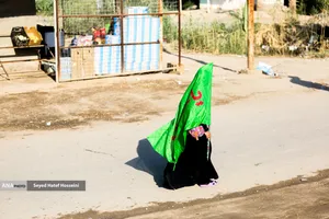 پیاده روی زائرین اربعین حسینی از طریق العلما
