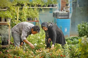 بازار گل محلاتی
