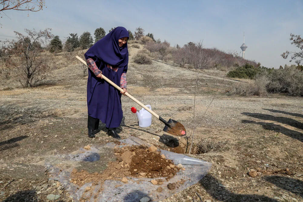 روز درختکاری