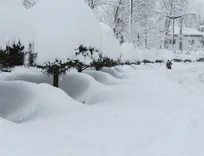وقوع-کولاک-مقطعی-و-مه‌گرفتگی-در-جاده‌های-کوهستانی-زنجان