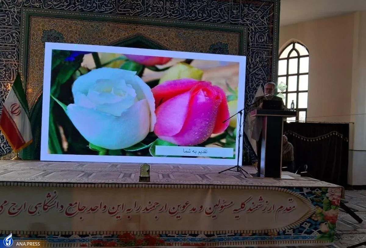 ارسال هزار اثر ادبی به جشنواره «دلنوشته‌ای به امام زمان(عج)»/ 12 نفر برگزیده شدند