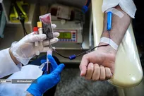 نرم‌افزار جامع انتقال خون؛ تحول بزرگ در مدیریت لحظه‌ای ذخایر خون کشور