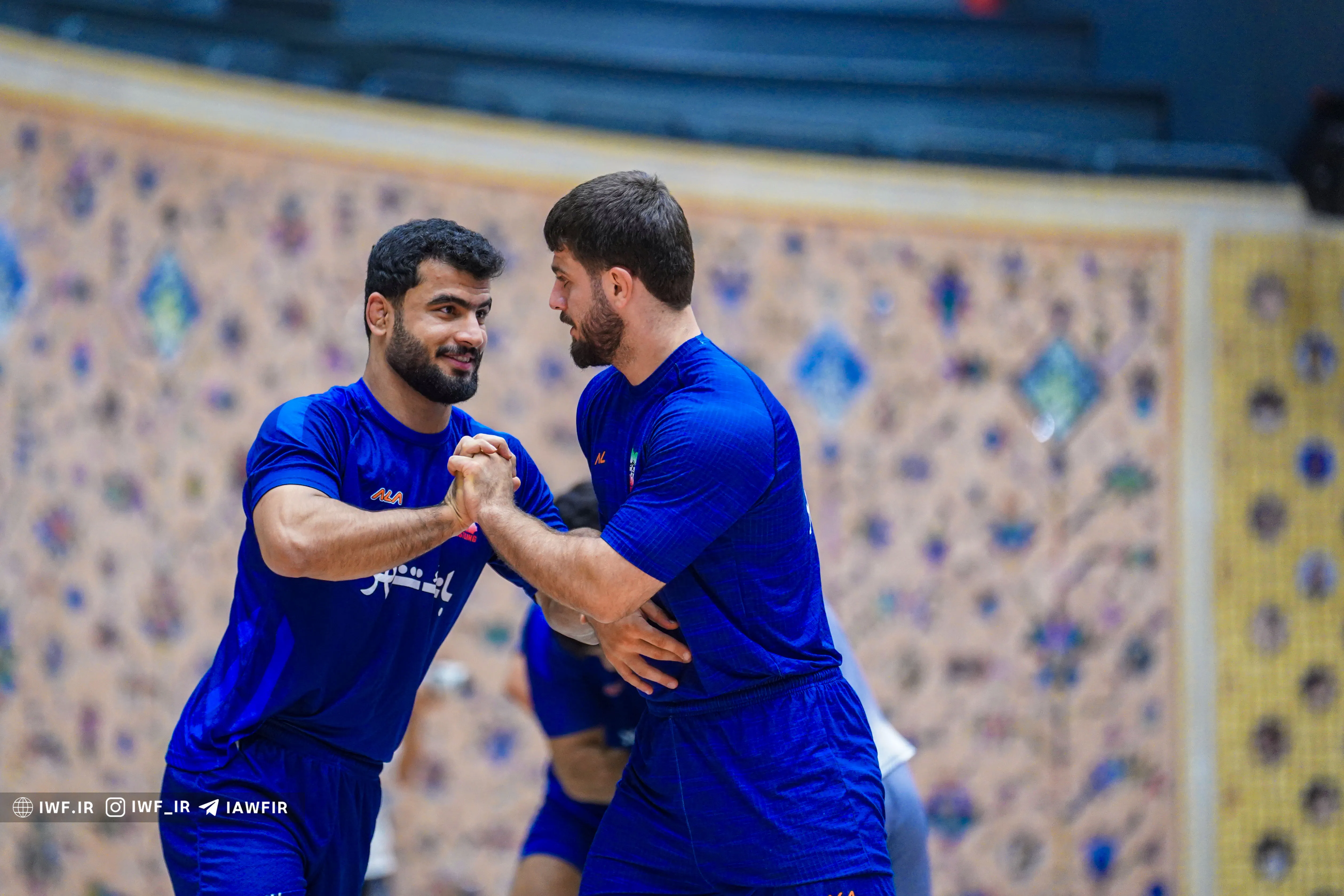 علیرضا مُهمدی