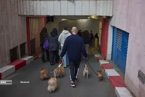 حملات موشکی ایران به پایگاه های صهیونی - آمریکایی