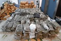 ۶ درصد جمعیت جهان مصرف‌کننده مواد مخدر؛ تأکید ایران و عراق بر گسترش همکاری‌های مشترک