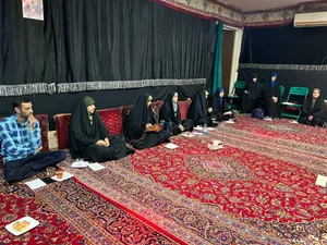 فعالیت خادمیاران و یاوران رضوی منطقه دارالمومنین تهران 