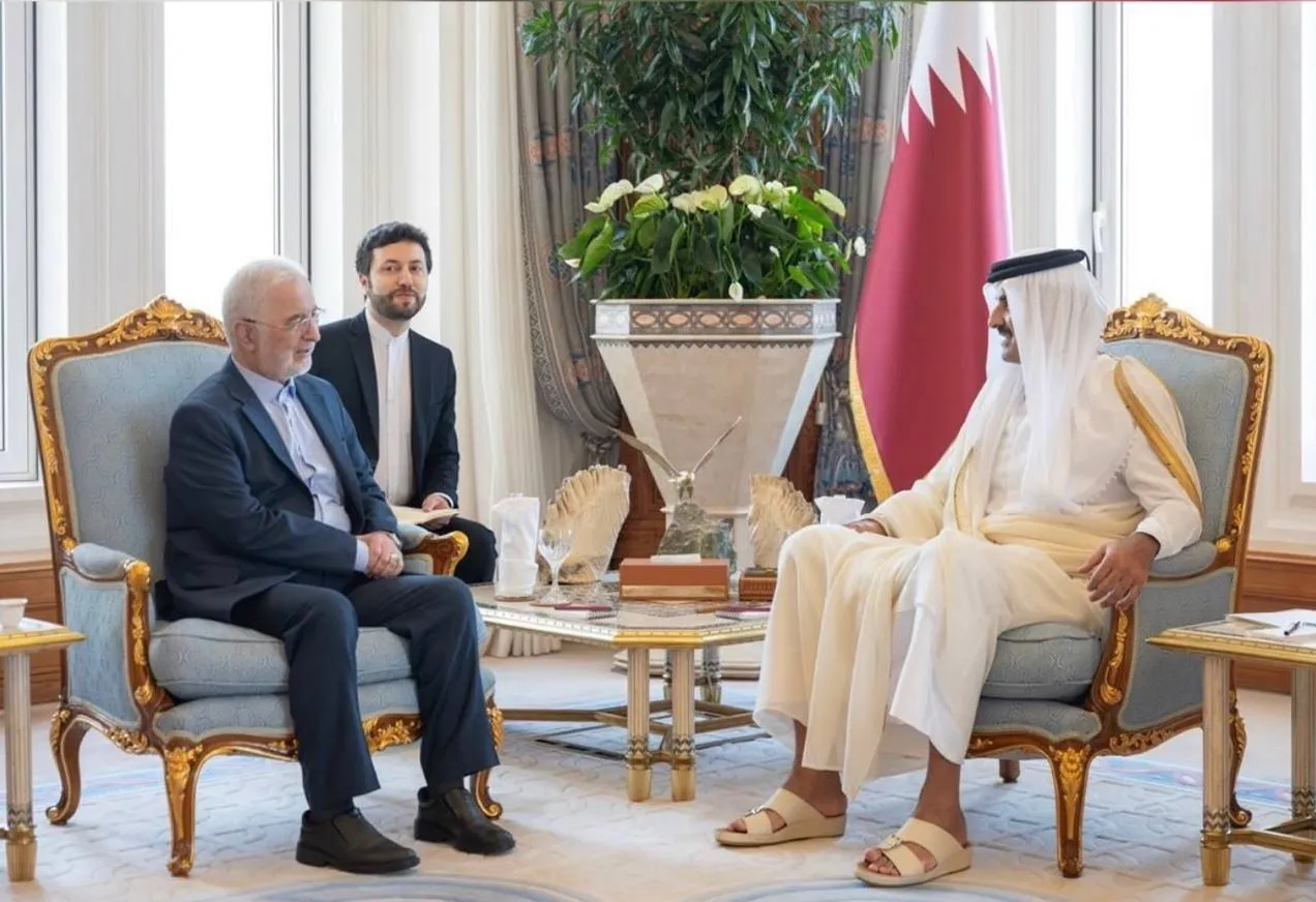 امیر قطر