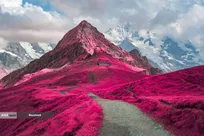 زندگی در نور متفاوت، برندگان مسابقه عکاسی مادون قرمز 2024