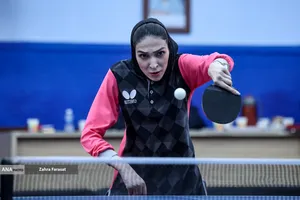 مسابقات آزاد پاراتنیس روی میز