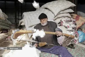 حاج آقا کثیری علاقه زیادی به حلاجی سنتی دارد و متعقد است حلاجی با کمان پنبه ها  حجم بهتری برای آماده سازی تشک و لحاف می دهد