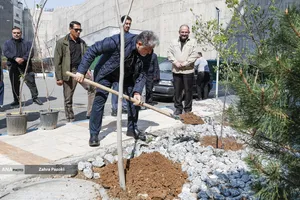 کاشت نهال امید