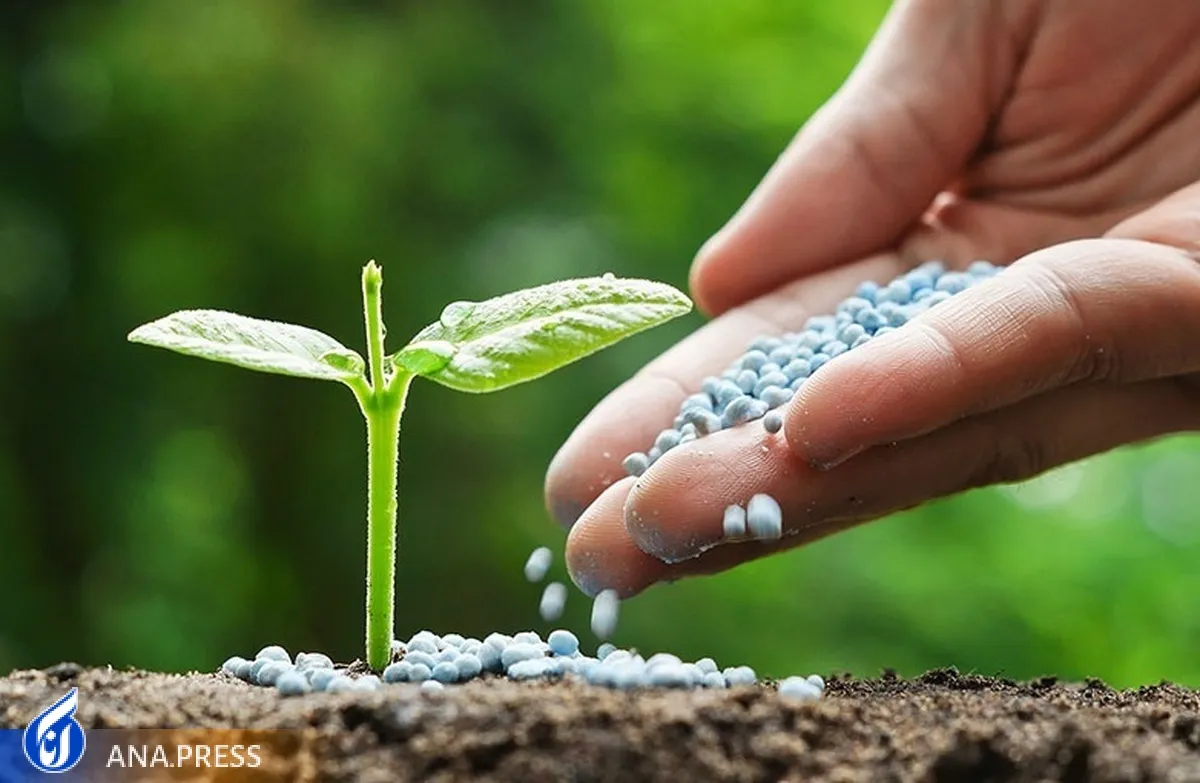 فیلم | تولید کود زیستی دانش‌بنیان برای تأمین نیازهای گیاه