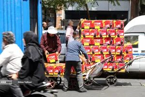 باربری در گرمای تابستان