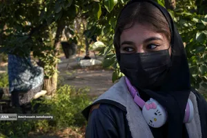 توانمندی اقتصادی برای رفع محرومیت - باغ گلابی