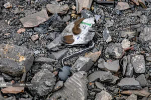  قطر در تهران