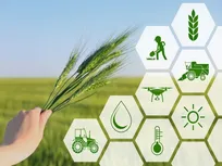 ۸۵ درصد نیاز غذایی کشور در داخل تولید می‌شود