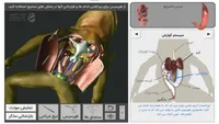 یادگیری فناورانه با طعم سرگرمی؛ آزمایش‌های کتب درسی شبیه‌سازی شد + فیلم و عکس