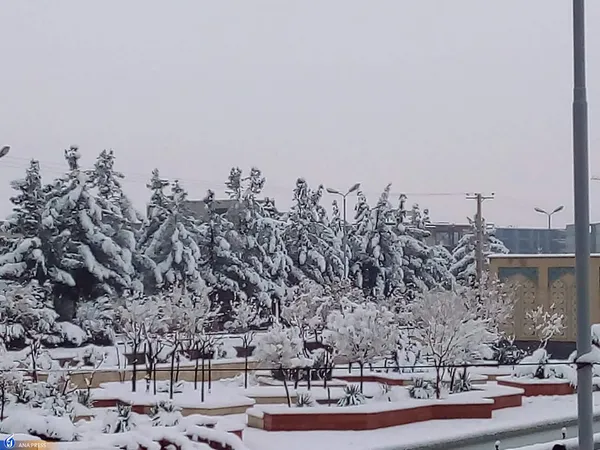 دانشگاه آزاد اسلامی واحد قم در یک روز برفی