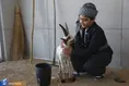 جشنواره آیین‌های سرزمین من در کرمانشاه