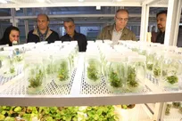 بازدید مجریان طرح بازمهندسی کشاورزی و منابع طبیعی دانشگاه آزاد از واحد کرمانشاه