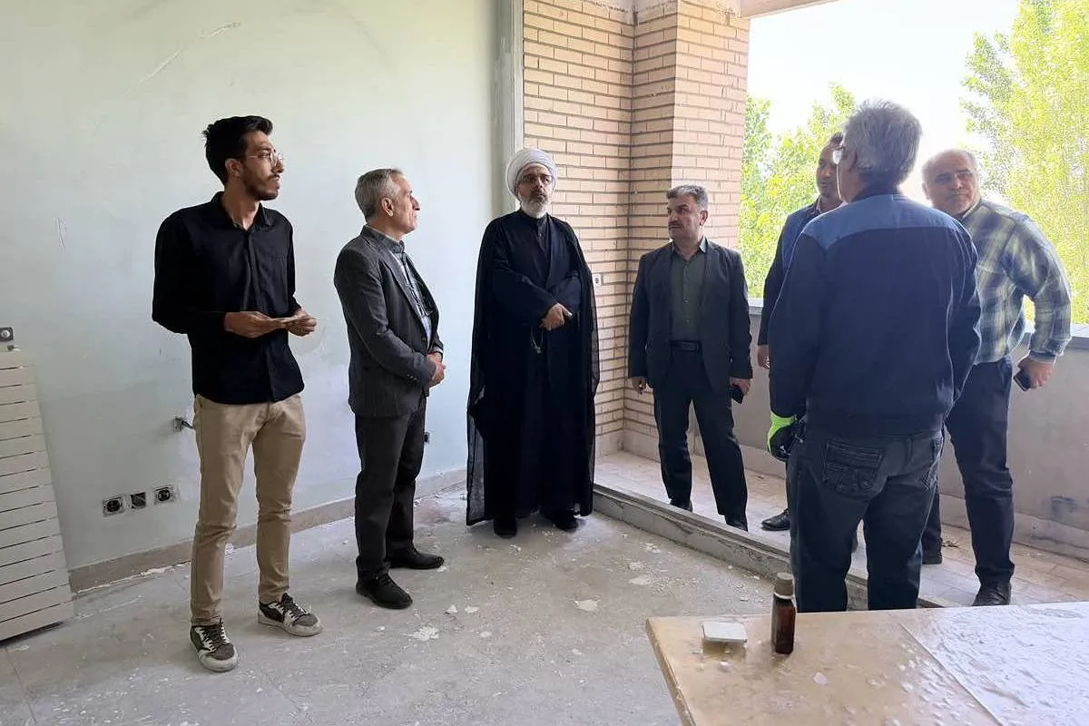 دانشگاه