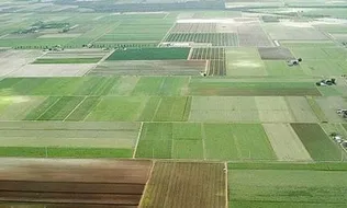 کاداستر اراضی کشاورزی از مرز ۹۰ درصد گذشت/ شناسایی تغییر کاربری ۳۰ تا ۴۰ درصدی در برخی استان‌ها