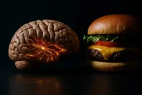 خطر آسیب مغزی تنها با ۴ روز متوالی مصرف غذای پرچرب