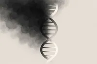 آلودگی هوا در سکوت ژن‌های ما را بازنویسی می‌کند