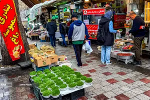 تداوم زندگی در شرایط جنگی