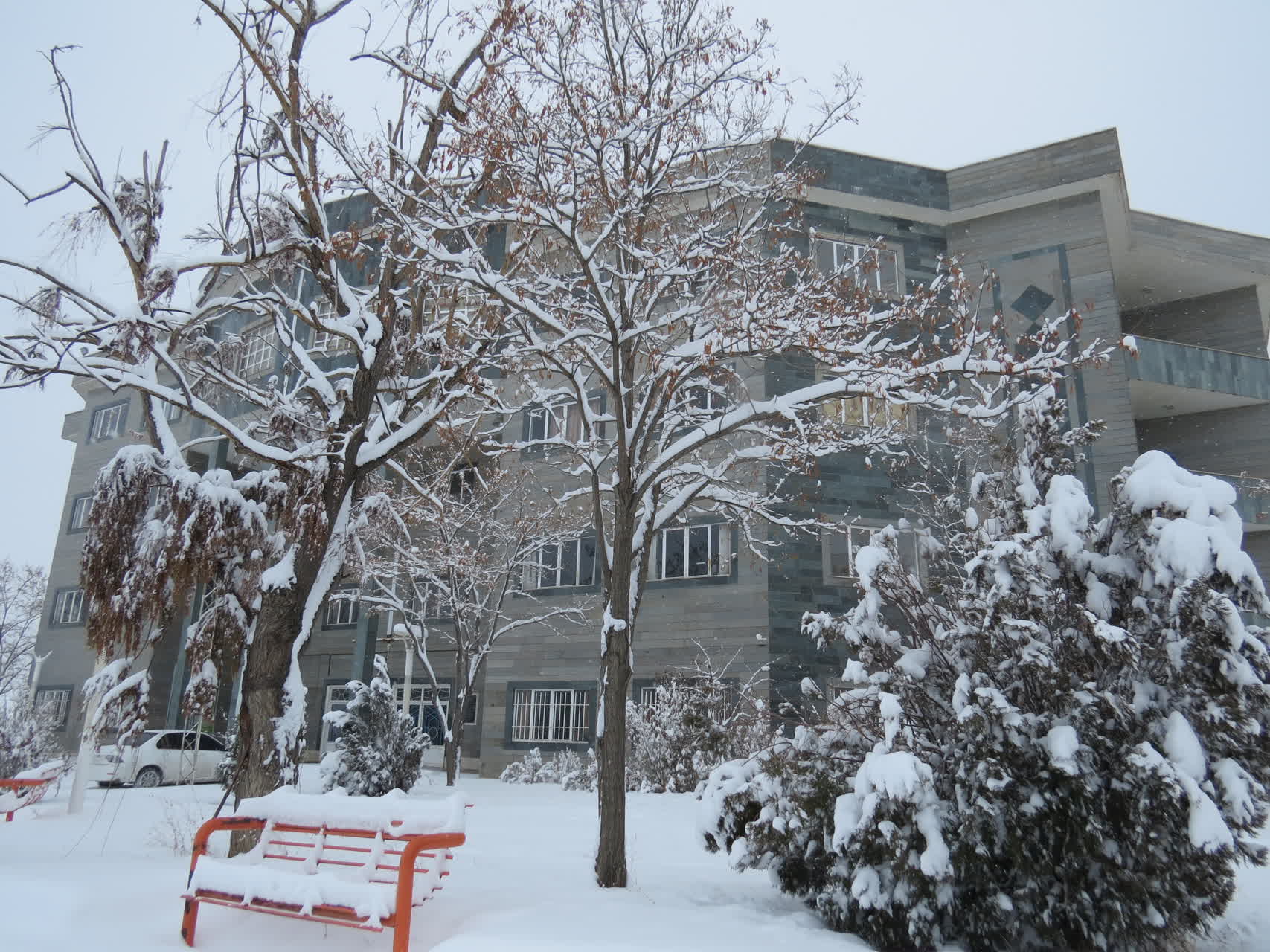 بارش برف زمستانی در واحد بین الملل ماکو؛ کوه آرارات در پوشش سپید