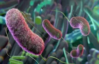 Gut Bacteria may predict type 2 Diabetes years before onset, study finds