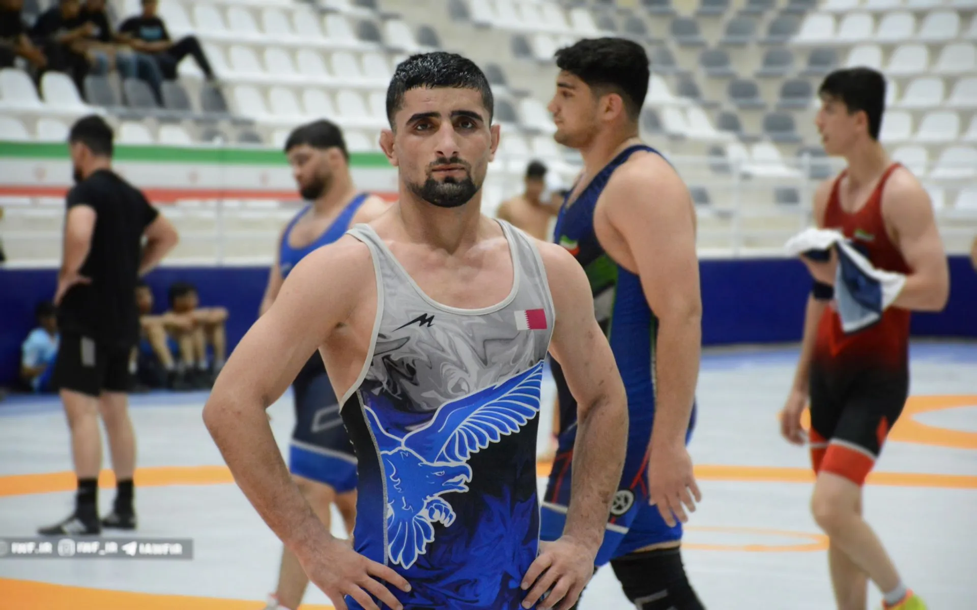 عارف محمدی