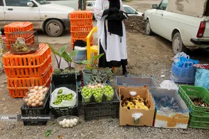 جمعه&zwnj; بازار &laquo;جویبار&raquo;