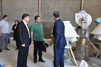 لزوم ارتباط صنعت و دانشگاه برای رشد تولید خوراک دام و طیور