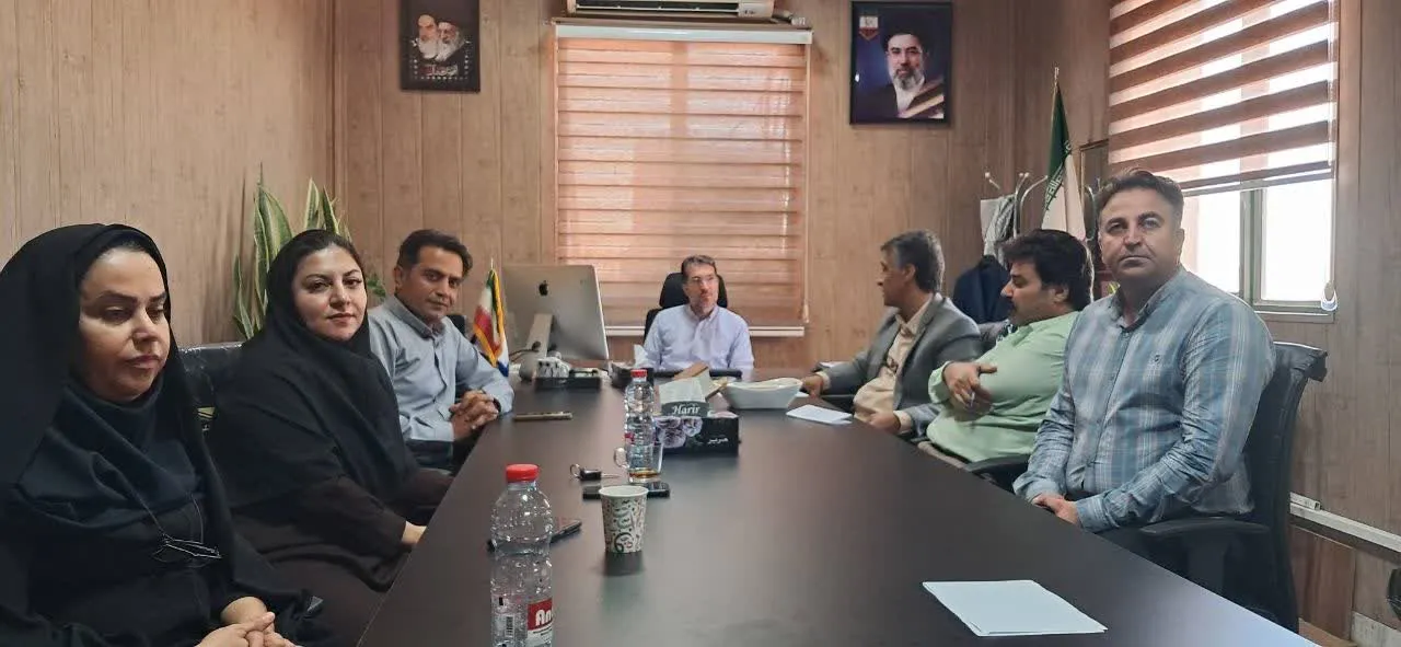 ممسنی